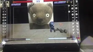 3D Bear Fight using Looking Glass