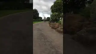 Walking unaided down a driveway