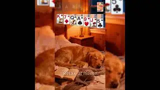 Solitaire Legend V223- 800x800