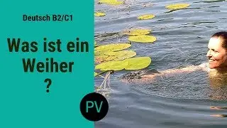 Was ist ein Weiher?