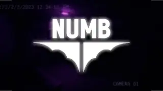 SHAISE  |  NUMB