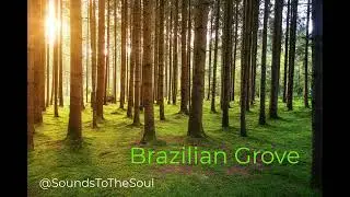 Birds Singing in Nature - Relaxing Nature Sound - Brazilian Birds