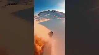 POV Helmet Cam: Grizzly Bear Chases Us After Saving a Dog#POV #Shorts #YouTubeShorts #Reels #Viral