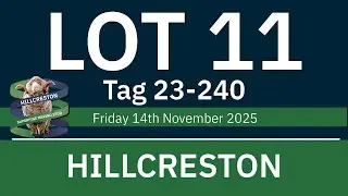 LOT 11