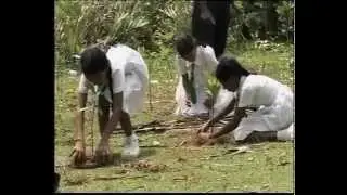 ASIATV100Net: UNEP: After The Wave