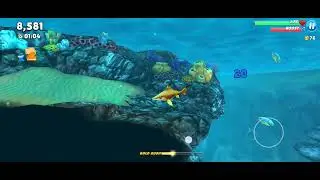 Hungriy Shark 2🦈