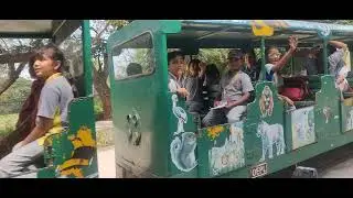 Nehru Zoological Park Zoo Tour | Hyderabad | Full Zoo Experience