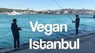Exploring Vegan Istanbul (tEDV 96)