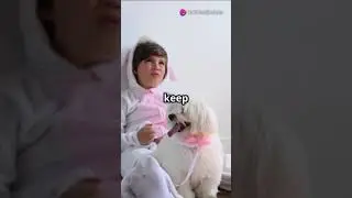 Lost Dog's Adventure A Rabbit's Rescue