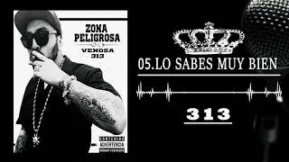 LO SABES MUY BIEN//VENOZZA 313// LINEA FINA TEAM//