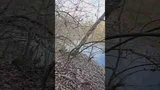 Hiking Down An Ozark Mountain In Winter #hiking #crunchingsounds #trekking #nature #shorts #asmr