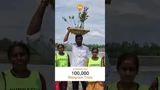 1000+ Mangroves Planted Today! | Join the Green India Challenge for a Greener Tomorrow 🌍💚#trending