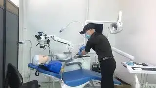 Dental microscope