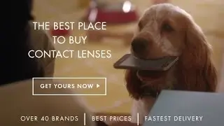The Best Place to Buy Contact Lenses