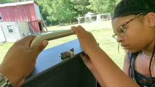 Cecarol Pellet Grill