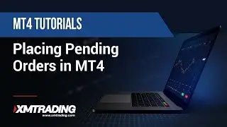 XMTRADING.COM - MT4 Tutorials - Placing Pending Orders in MT4