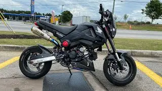 230cc Honda Monkey vs 210cc Honda Grom. #TheSpeedShop #GromFatherz