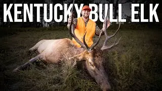 The Hunt of a Lifetime | Kentucky Bull Elk