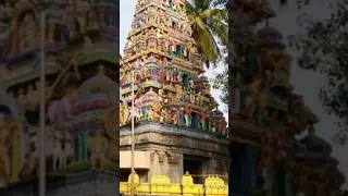 Divine 🙏😭 #devotionalexperience #shorts #devotionalsongs #sro #song #tamilsong