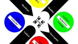 MNC's Strategic Activity