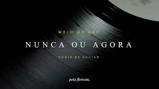 Nunca ou Agora - Tonio de Aguiar [Lyric video]