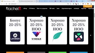 IEO RachelX разбор проекта