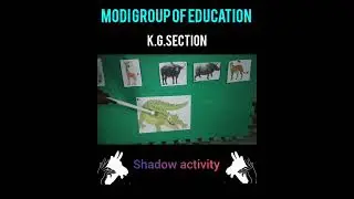 Shadow Activity..#kidslearning #education #anime #animals #shorts 