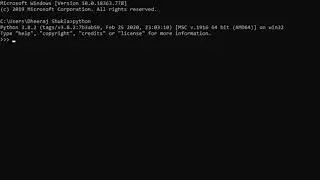 Python Interpreter (Windows)