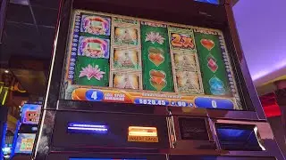 Jungle Wild 3 - Mega Big Win - .90 Cent Bet