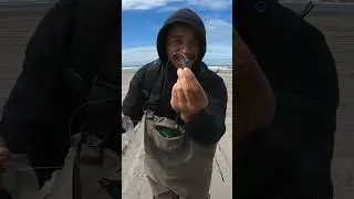 Лучшая снасть для рыбалки с берега!