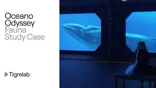 Oceano Odyssey Immersive Experience - Fauna Study Case