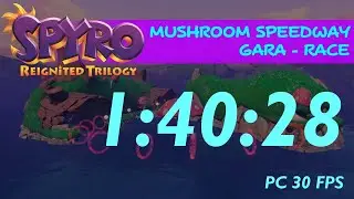 Spyro 3 RT - Mushroom Speedway RACE 1:40:28 (PC)