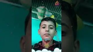 publik song