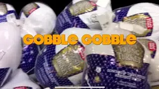Gobble Gobble the Thanksgiving Rap by Mikey and Big Bob
