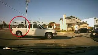 The World's Most Confident Truck Passenger
