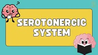Serotonergic System Simplified: 5-HT Receptors, Functions, Drugs & Clinical Relevance Explained!
