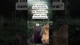 Cat zoning out meme #shorts #memeshorts #meme