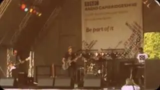 The Deltaphonics live at The Willow Festival 2013