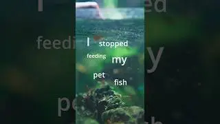 Морю рыбок голодом ради науки #аквариум #экосистема #акваскейпинг #tigerdario