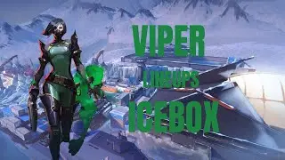Best Viper Setups For Winning Every Round!