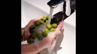 Not Just Soap 🍇 Green Grape Herbal Bar That Cleans, Repels & Refreshes
