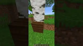 #minecrafts (4)