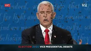 VP Debate Pence Covered in Flies??