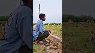 চোখের পলকে চুরি 🤣 #comedy #funnymoments #sorts #funny #funnyvideos #realfools #funnyclips #realrox