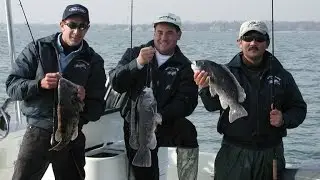 Blackfish Fishing (Tautog) - Stamford, CT (Preview)