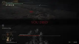 ELDEN RING Golden Hippo Deflecting Hardtear + Bloodhound Step