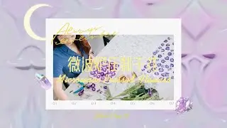 Zelia&lsquo;s Vlog EP6-Microwave Dried Flowers using Microfleur Flower Press 微波爐乾燥花製作Vlog