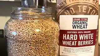 Where do you get your wheat berries?