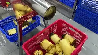 𝐈𝐐𝐅 𝐏𝐢𝐧𝐞𝐚𝐩𝐩𝐥𝐞 🍍