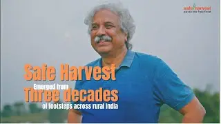 Safe Harvest Trailer #farming  #agriculture  #soilhealth  #pesticidefree #rice  #sustainablefarming